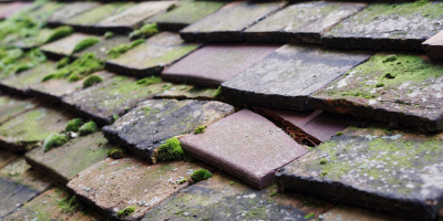 Penarth Moors roof repair costs